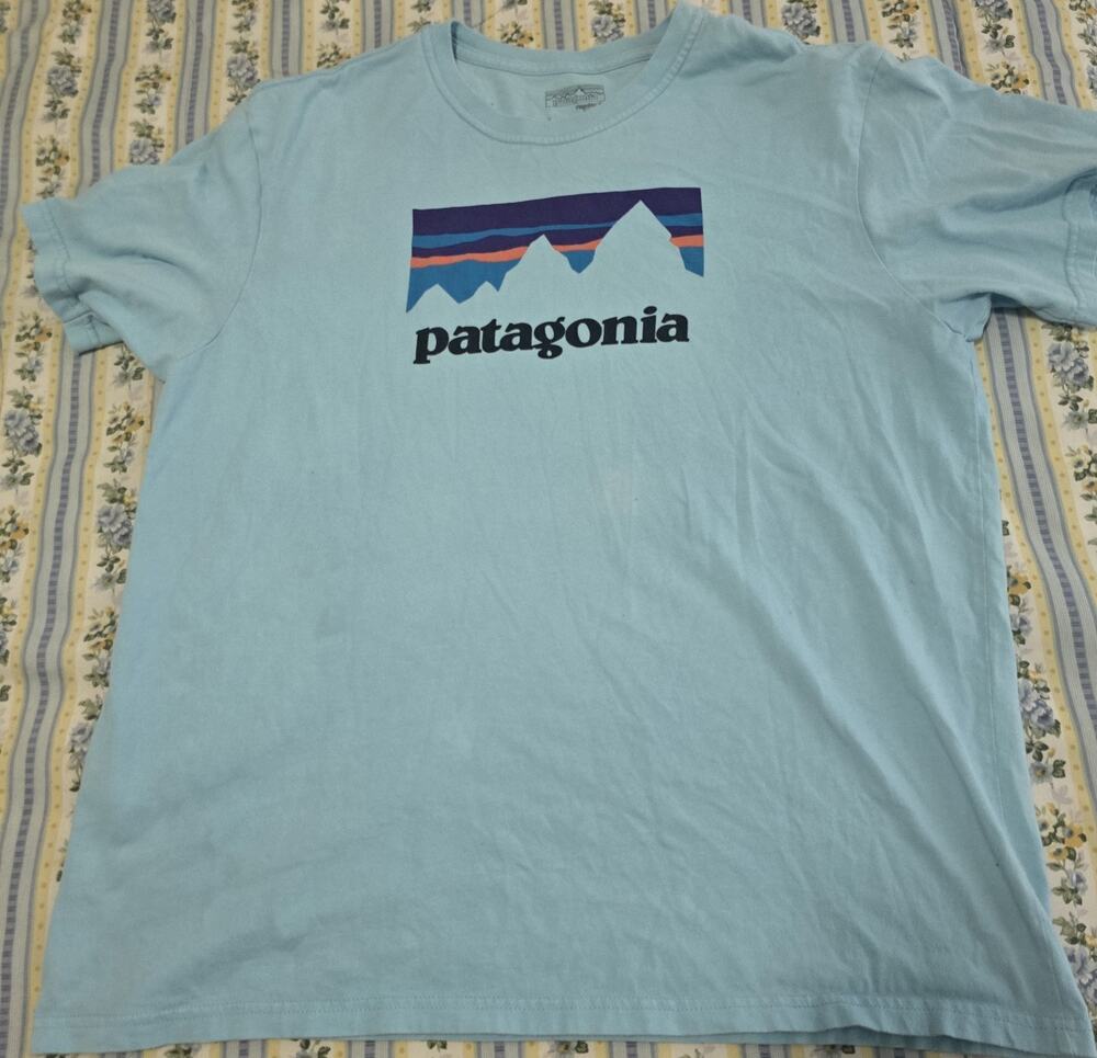 Patagonia T-Shirt Mens Large Blue